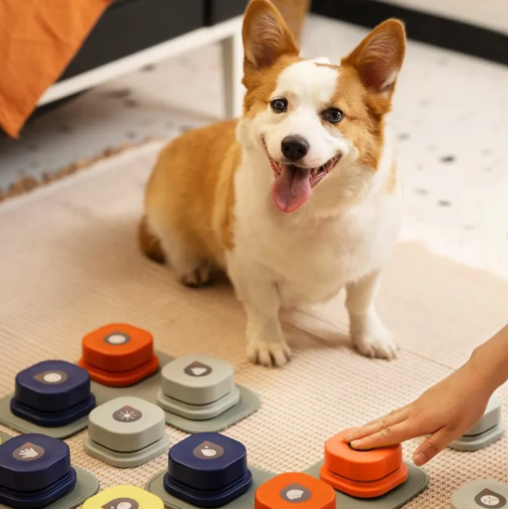 CozyPaws Recordable Pet Communication Buttons