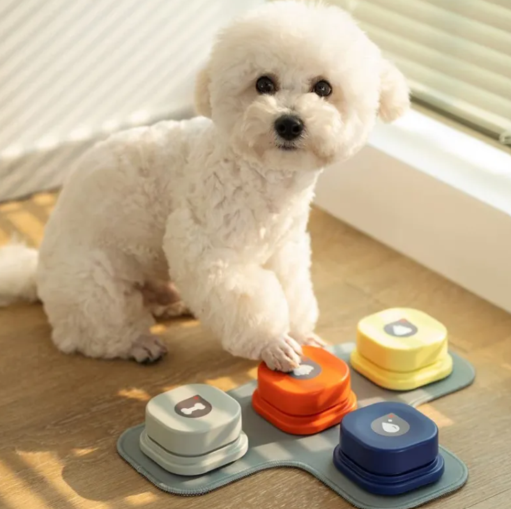 CozyPaws Recordable Pet Communication Buttons